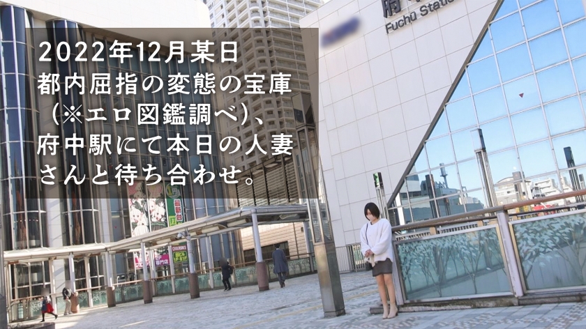 サンプル画像5