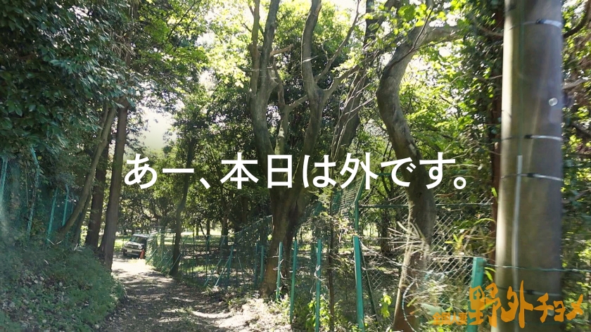 サンプル画像2